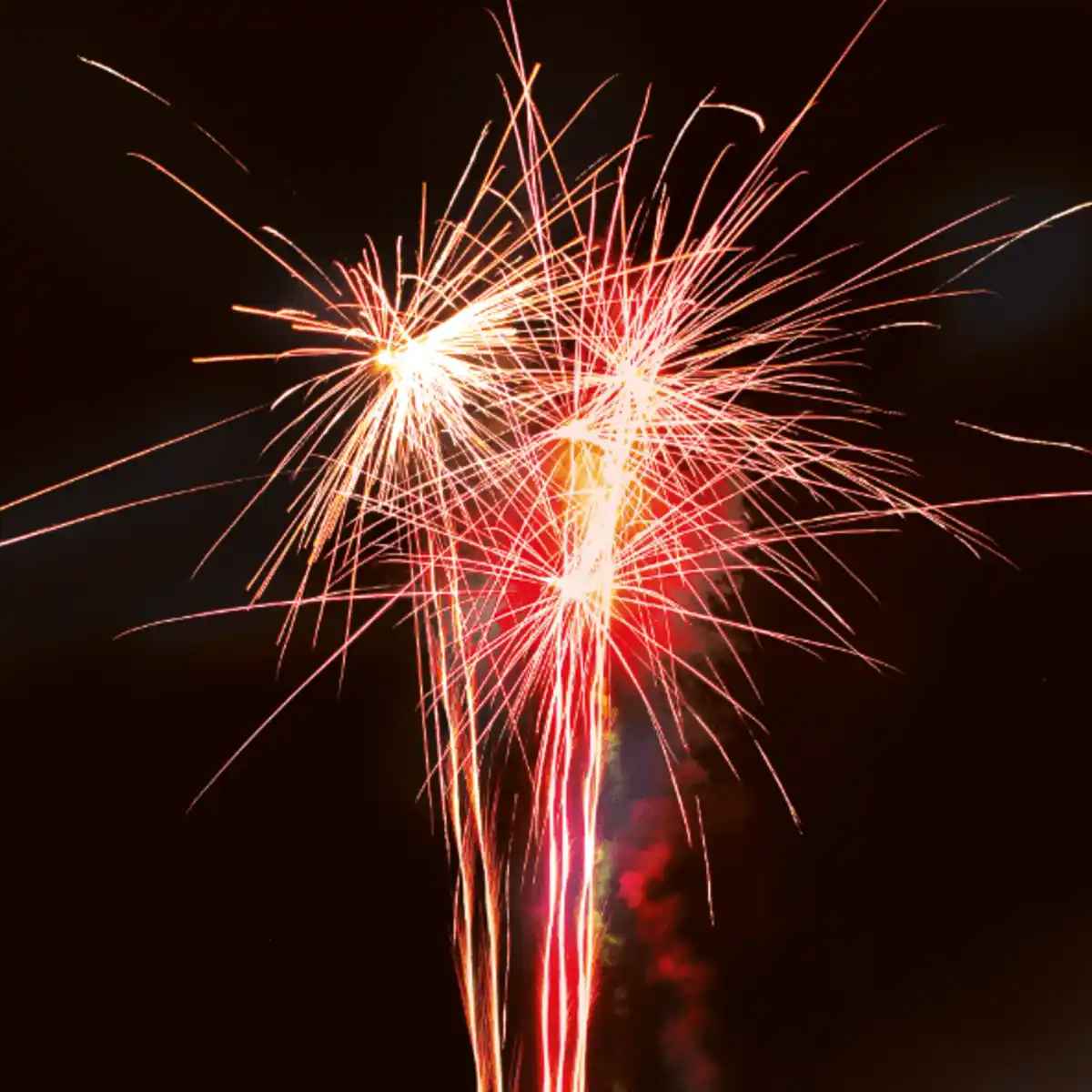 Bild 3 von WECO Supernova