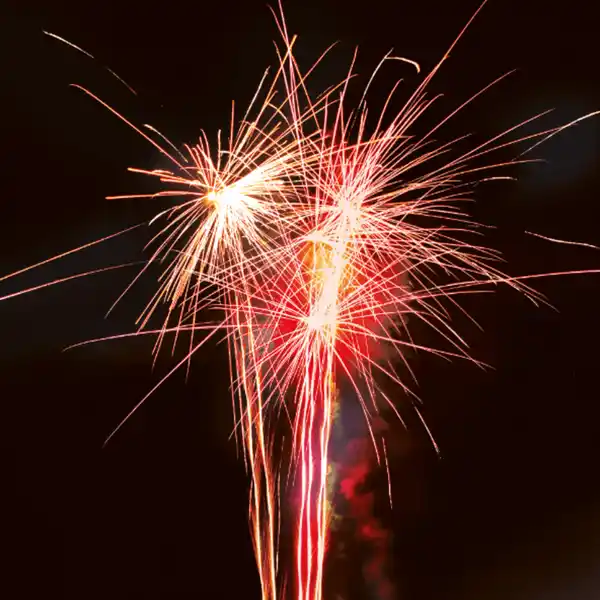 Bild 3 von WECO Supernova