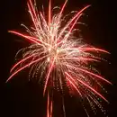 Bild 2 von NICO Zombies