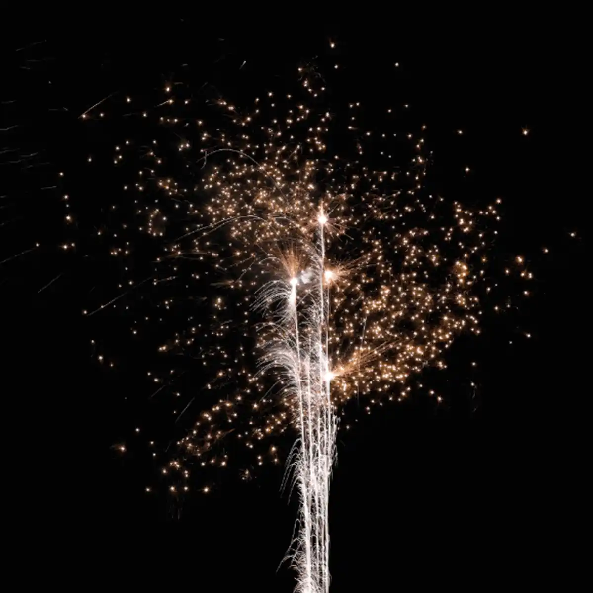 Bild 2 von WECO High Performance