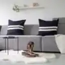 Bild 4 von District 70 Kratzpappe Snake schwarz