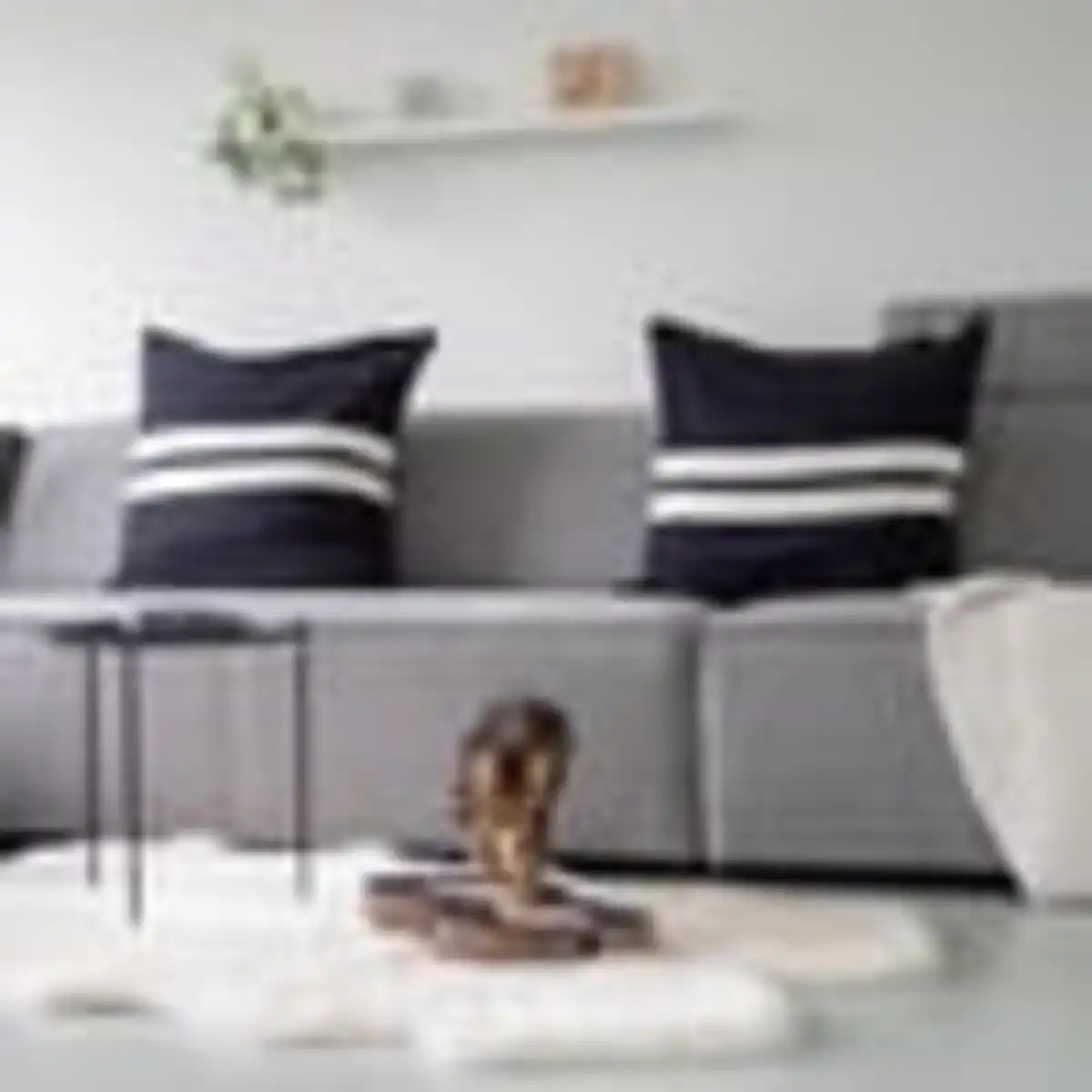 Bild 4 von District 70 Kratzpappe Snake schwarz