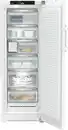Bild 1 von FNb 505i-22 Gefrierschrank weiss