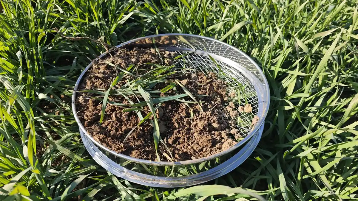 Bild 4 von 5in1 Garten-Sieb aus Kohlenstoffstahl, oberflächenverzinkt ca. 30 x 30 x 6.5cm