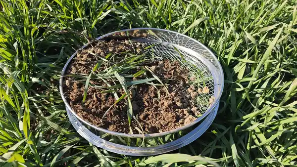 Bild 4 von 5in1 Garten-Sieb aus Kohlenstoffstahl, oberflächenverzinkt ca. 30 x 30 x 6.5cm