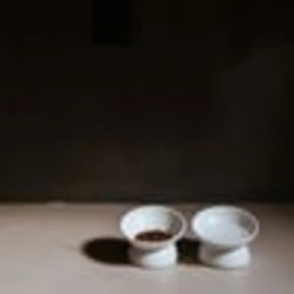 Bild 4 von Stylecats Napf Langa 90ml weiß