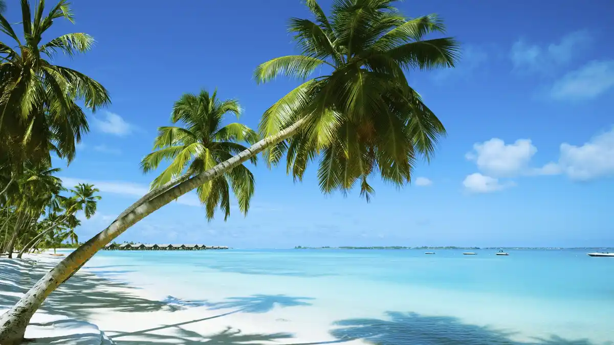 Bild 1 von Costa Favolosa - Transatlantik von Hamburg nach Santo Domingo - Kreuzfahrt