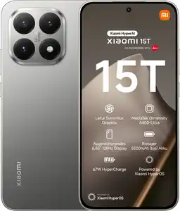 15T (12GB+256GB) Smartphone grau