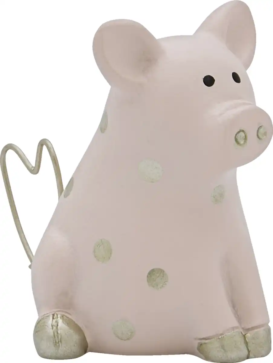 Bild 1 von IDEENWELT Glücksschwein