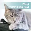 Bild 3 von Felisept Hautpflegespray für Katzen 250ml