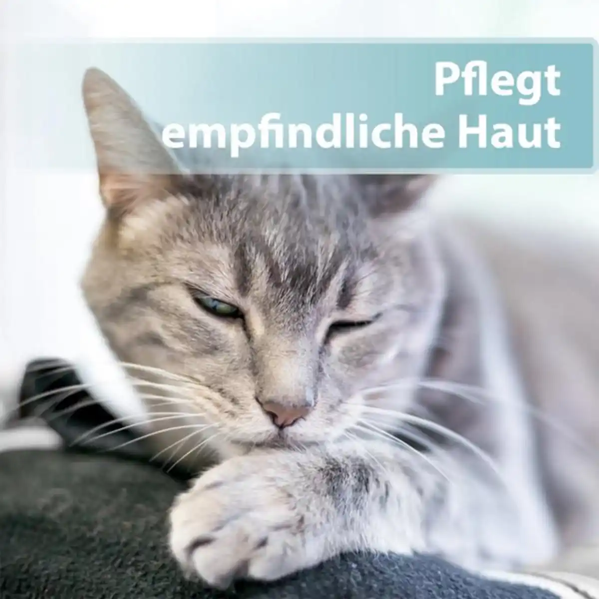 Bild 3 von Felisept Hautpflegespray für Katzen 250ml