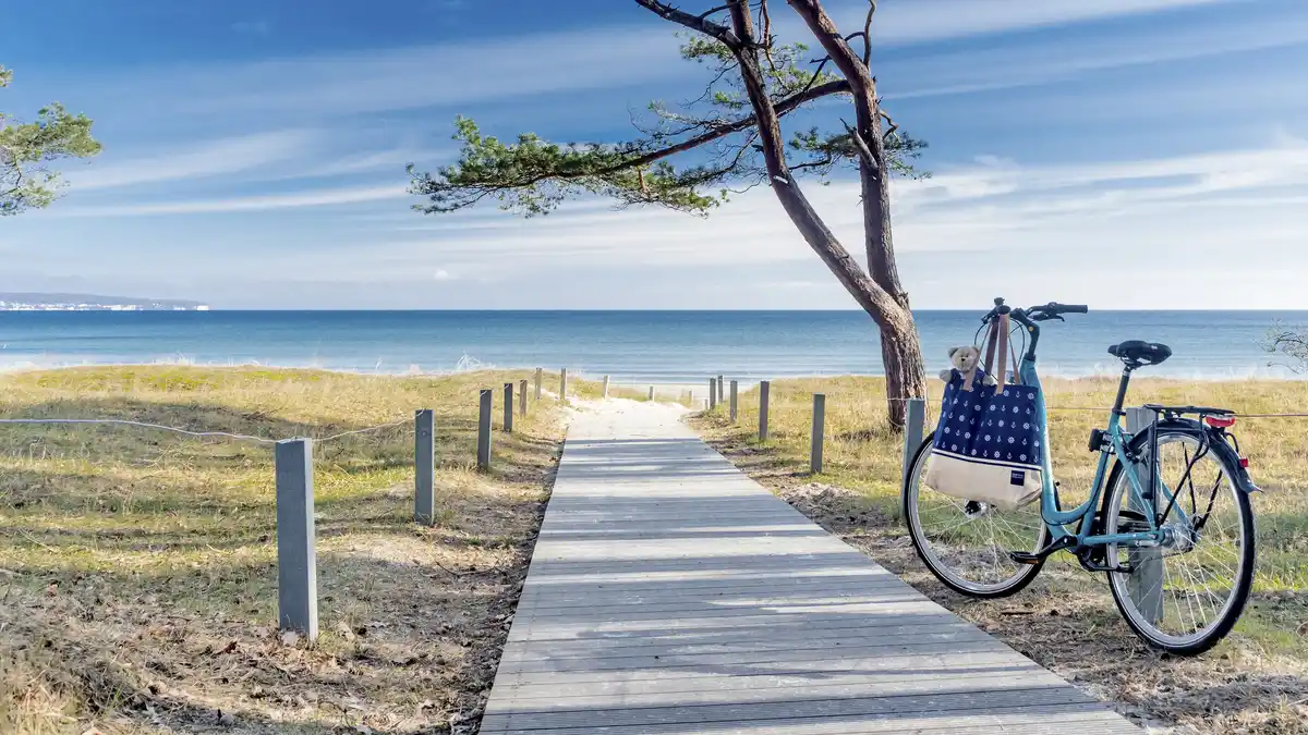 Bild 1 von Rügen - Ostseebad Binz - 4*S Dorint Seehotel Binz-Therme