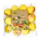 Bild 1 von GO Regio Elstar