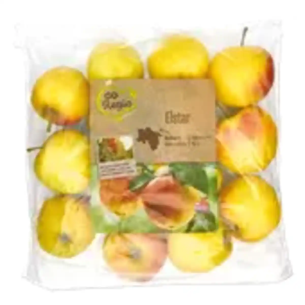 Bild 1 von GO Regio Elstar