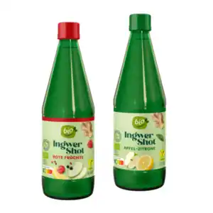 BIO Ingwer-Shot 0,5L