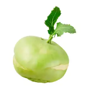 Kohlrabi