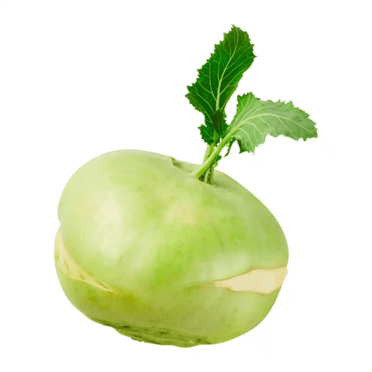 Bild 1 von Kohlrabi