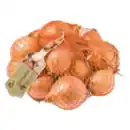 Bild 1 von GO Regio Zwiebeln