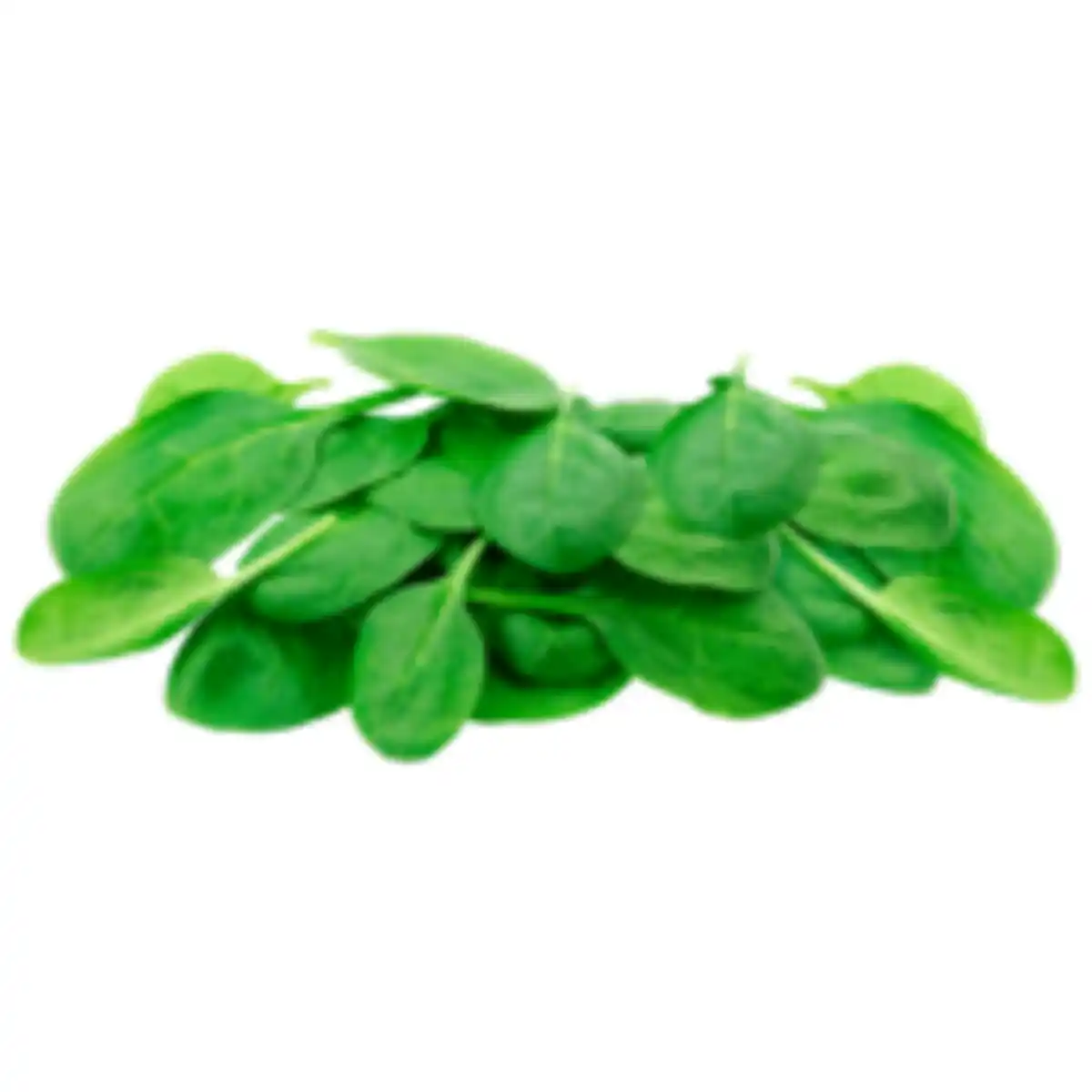 Bild 1 von Baby Spinat