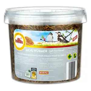 Little-Friends Mehlwürmer