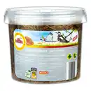 Bild 1 von Little-Friends Mehlwürmer