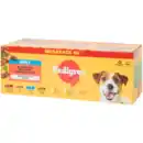 Bild 1 von Pedigree Hundefutter