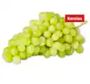 Bild 1 von Helle, kernlose Tafeltrauben