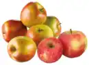 Bild 1 von Äpfel