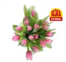 Bild 1 von Tulpen Multipack*