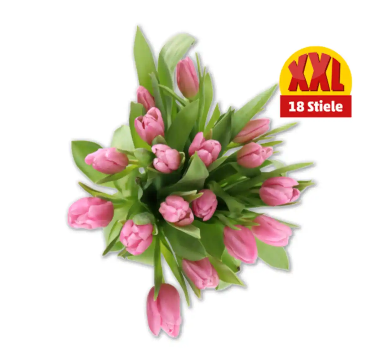 Bild 1 von Tulpen Multipack*