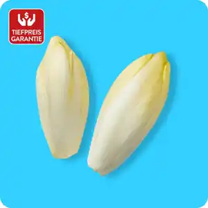   Chicoree, Ursprung: Deutschland / Frankreich / Spanien