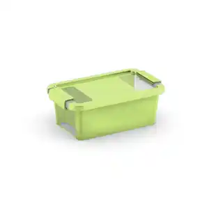 KIS Aufbewahrungsbox »BI Box«, 3 L, hellgrün-transparent