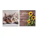 Bild 2 von Lifetex Fußmatte