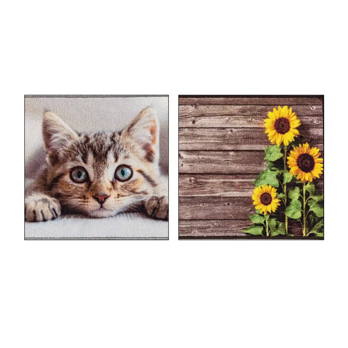 Bild 2 von Lifetex Fußmatte