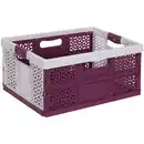 Bild 1 von KEEEPER Klappbox »Lea«, 32 l, nordic red