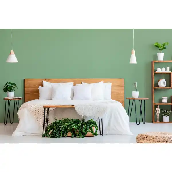 Bild 3 von RENOVO Innenfarbe »Lust auf Farbe«, Salbeibrise, 2,5 L