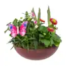 Bild 4 von GARDENLINE Frühlingsschale