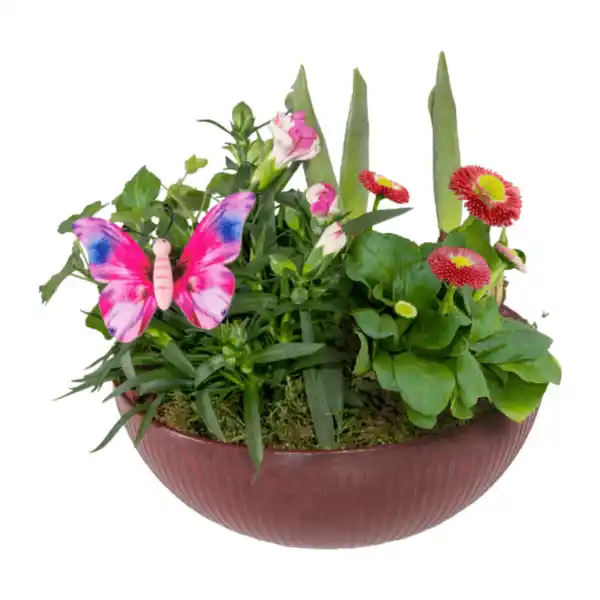 Bild 4 von GARDENLINE Frühlingsschale