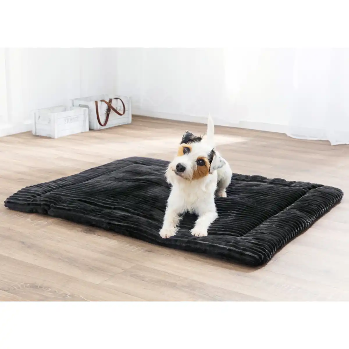 Bild 1 von Roy Tierliegekissen mit Frischeduft