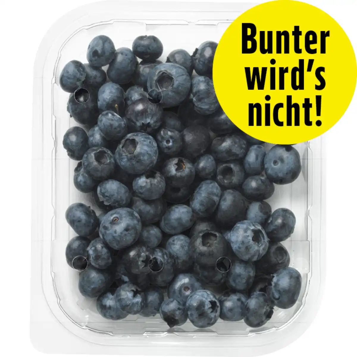 Bild 1 von Kulturheidelbeeren