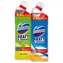 Bild 1 von Domestos Kraft & Frische WC Gel