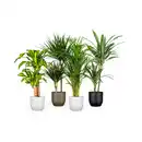 Bild 2 von Mica Decorations Pflanztopf, Hx⌀ 21,5 x 21,5 cm, rund, weiß matt