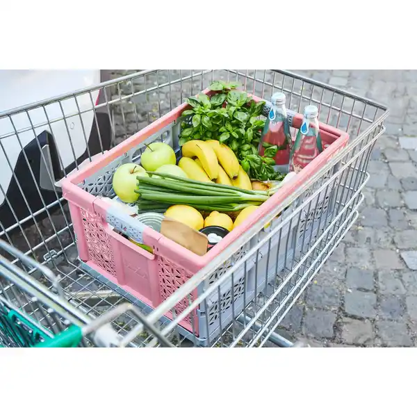 Bild 2 von KEEEPER Klappbox »Lea«, 32 l, nordic red