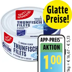 Thunfischfilets