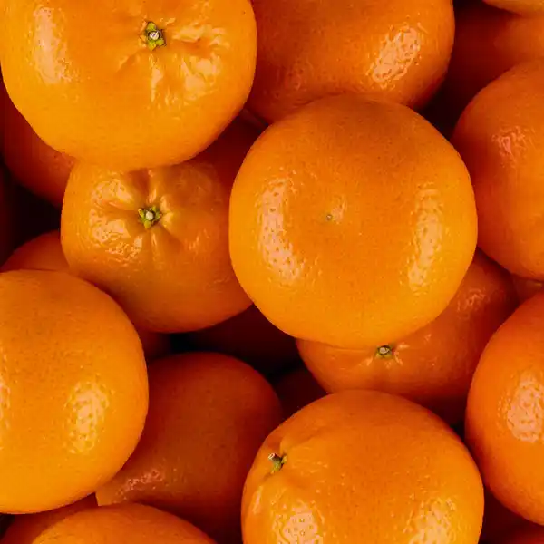 Bild 2 von Dream-Früchte Riesen-Mandarinen