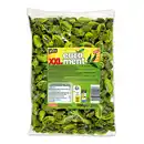 Bild 1 von Bona Vita XXL Eucament