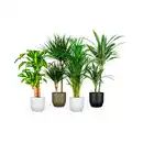 Bild 2 von Mica Decorations Pflanztopf, Hx⌀ 21,5 x 21,5 cm, rund, schwarz matt