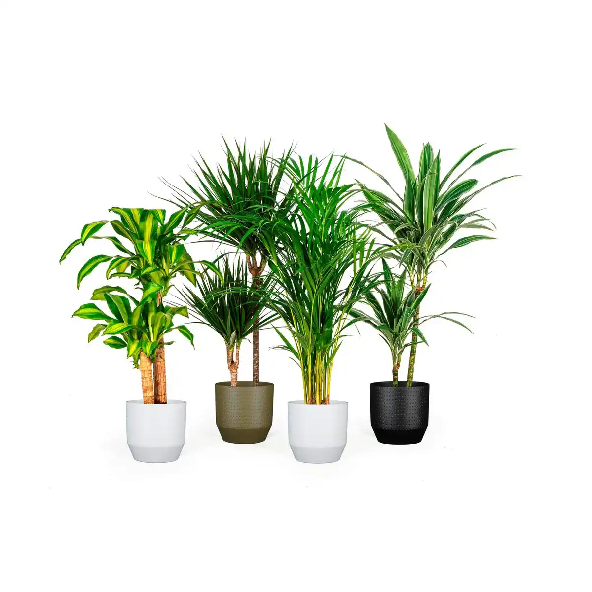 Bild 2 von Mica Decorations Pflanztopf, Hx⌀ 21,5 x 21,5 cm, rund, schwarz matt