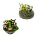 Bild 1 von GARDENLINE Frühlingsschale