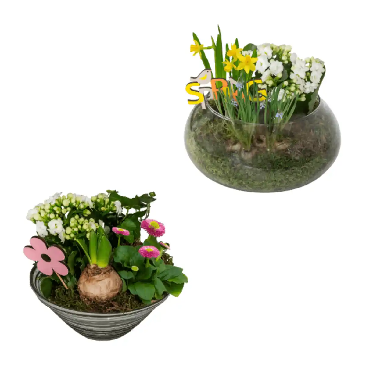 Bild 1 von GARDENLINE Frühlingsschale